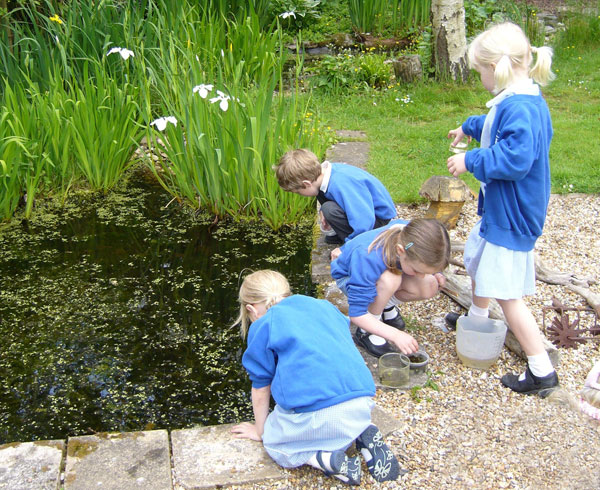 Children in a garden next to a pond