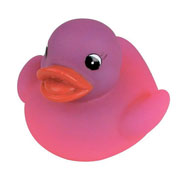 colour change duck